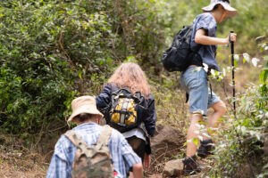 Read more about the article How Hard Is Gorilla Trekking in Uganda, Really?